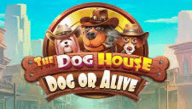 The Dog House Dog or Alive Demo