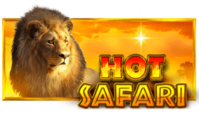 Hot Safari Demo