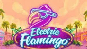 Electric Flamingo Demo