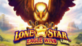 Lone Star Link Eagle Wins Demo