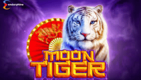 Moon Tiger Demo