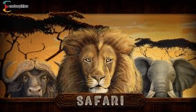 Safari Demo