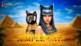 Temple Cats Demo