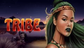 Tribe Demo