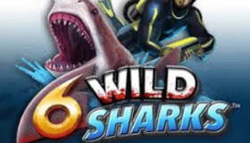 6 Wild Sharks Demo