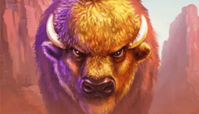 Big Buffalo Demo