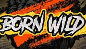 Born Wild Demo