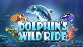 Dolphin’s Wild Ride Demo
