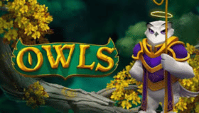 Owls Demo