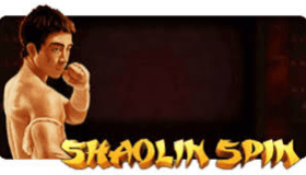 Shaolin Spin Demo