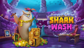 Shark Wash Demo