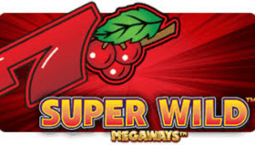 Super Wild Megaways Demo
