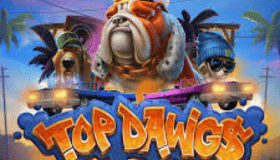 Top Dawg$ Demo