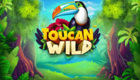Toucan Wild Demo