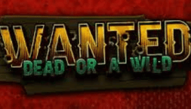 Wanted Dead or Wild Demo