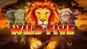 Wild Five Demo