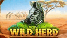 Wild Herd Demo