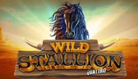 Wild Stallion Quattro Demo