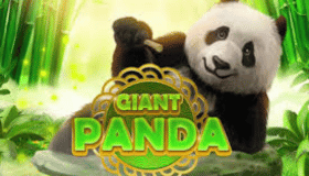 Giant Panda Demo