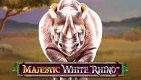 Majestic White Rhino Demo