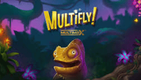 Multifly Demo