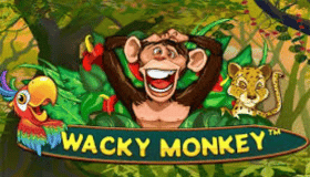 Wacky Monkey Demo