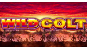 Wild Colt Demo