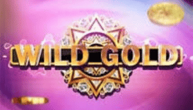 Wild Gold Demo