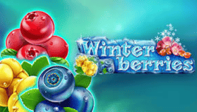 Winterberries Demo